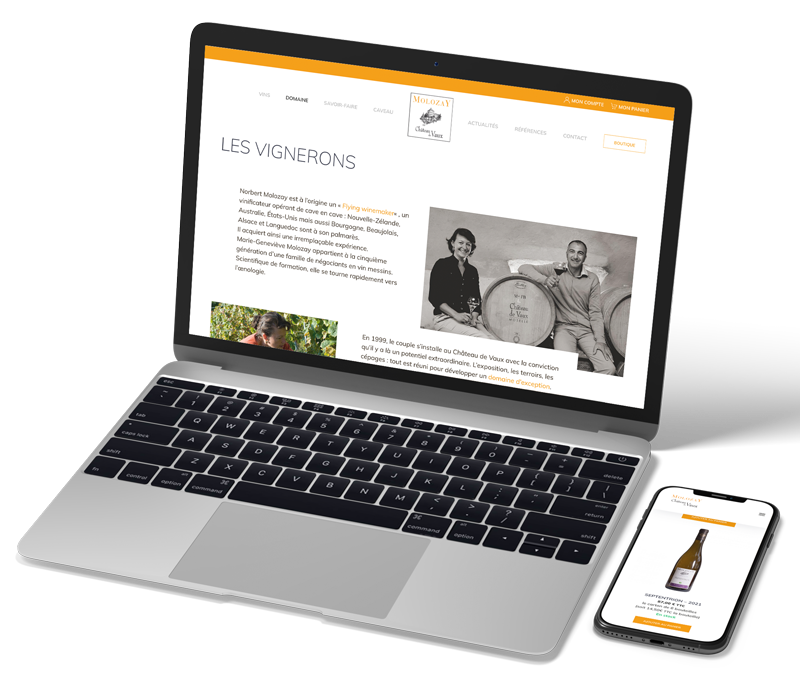 Avance - Référence client - Château de Vaux - Site web