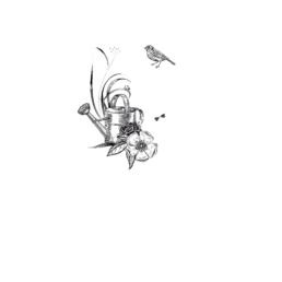 Avance - Référence maison cathelin - Logo RVB Blanc