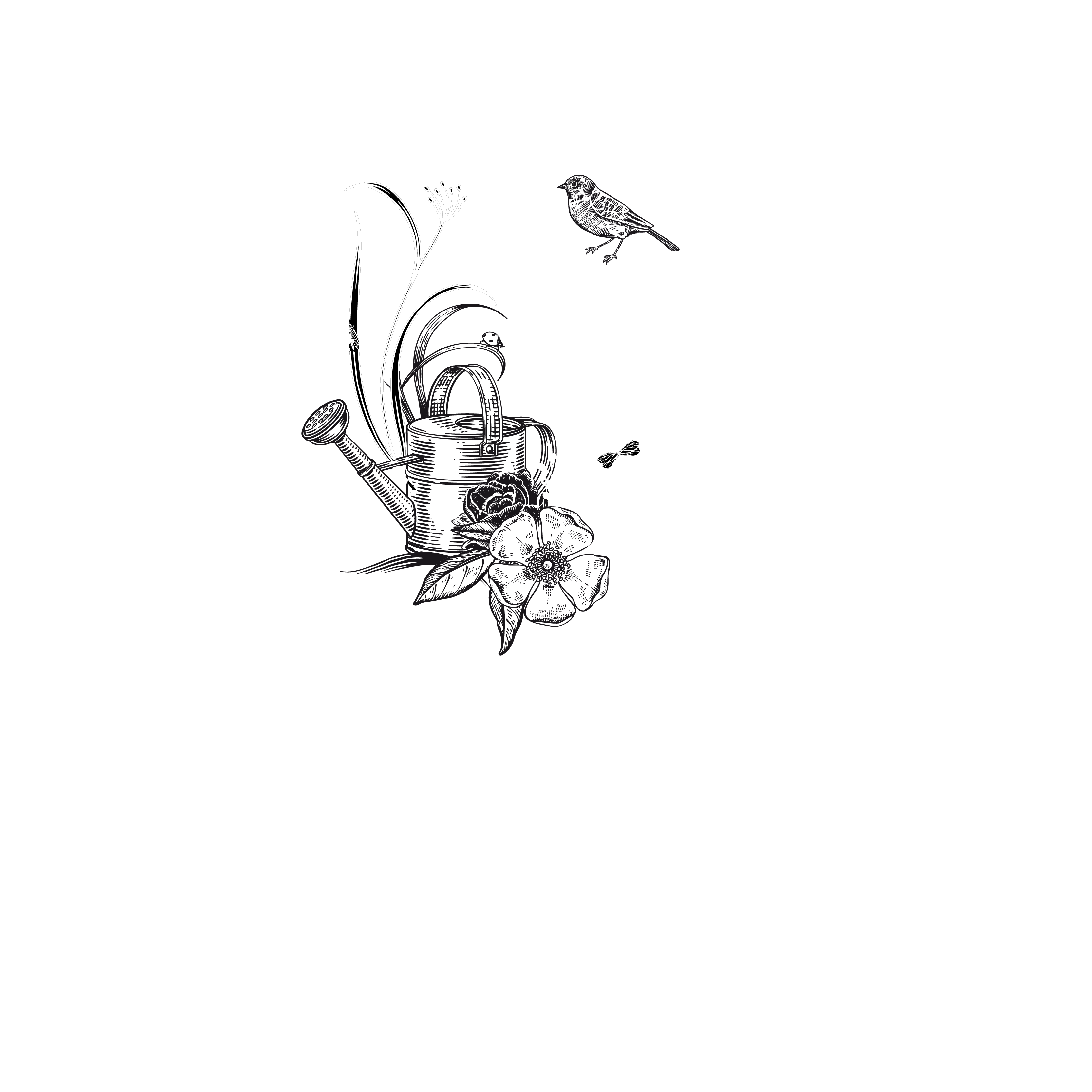Avance - Référence maison cathelin - Logo RVB Blanc