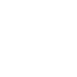 Icône LinkedIn